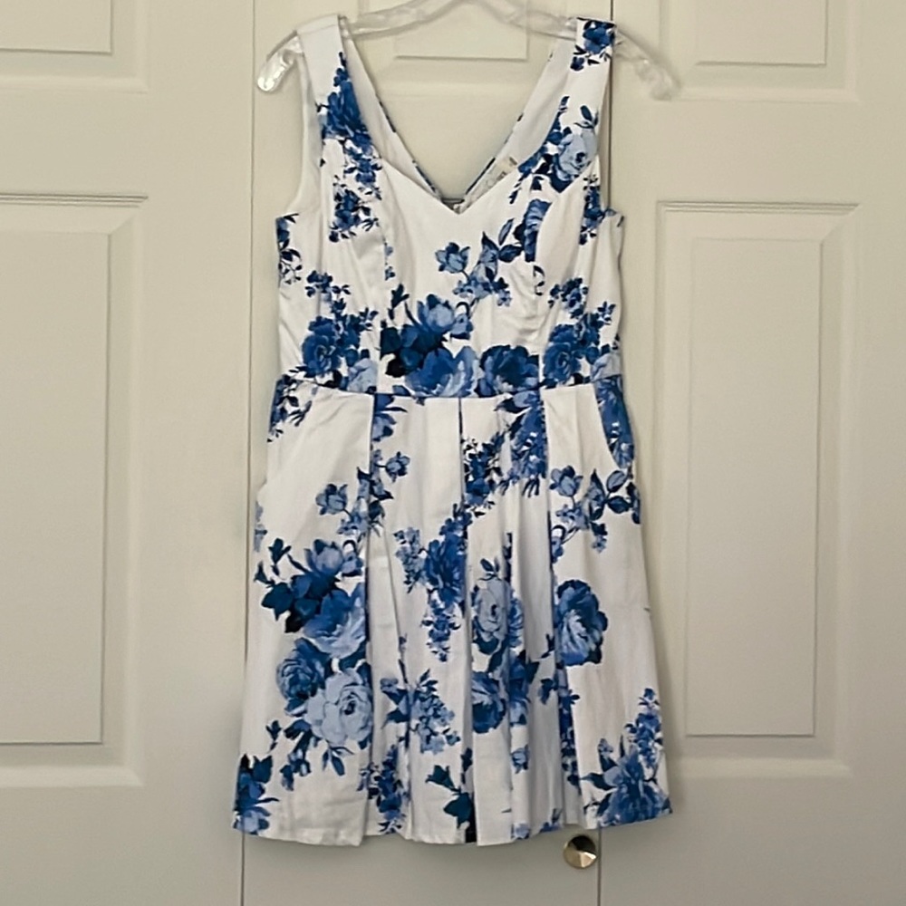 Francesca’s Blue and White Floral Dress